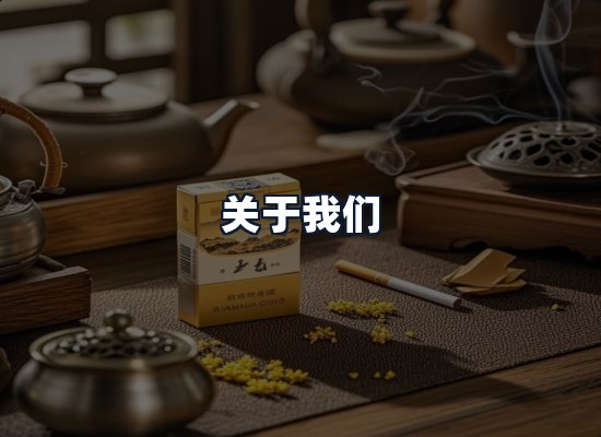 关于我们